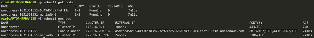 Already installed and pods is running