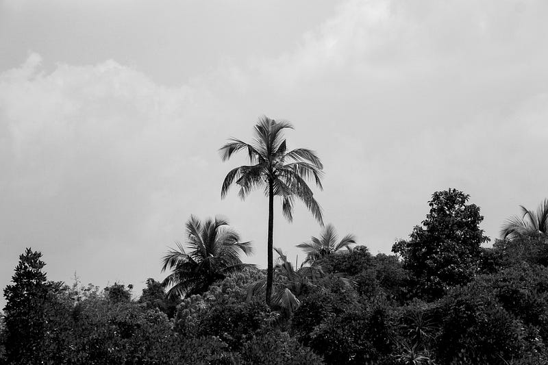 Photo by Soroush H. Zargarbashi on Unsplash