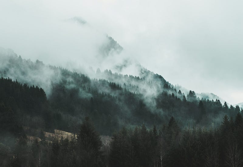 Picture by Marie Eichmann on Unsplash