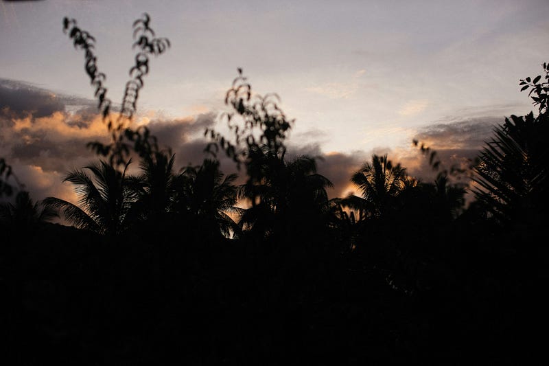 Picture by Alexey Demidov on Unsplash