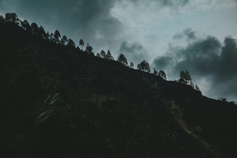 Picture by Neha Maheen Mahfin on Unsplash