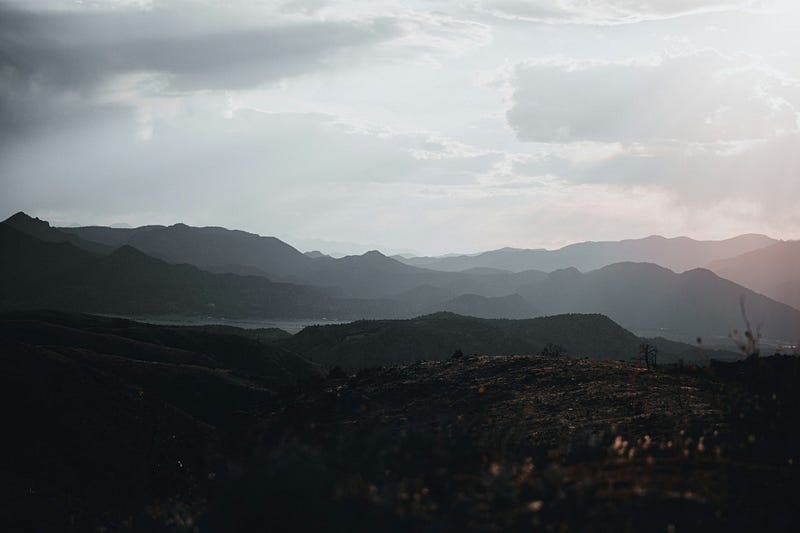 Picture by LOGAN WEAVER | @LGNWVR on Unsplash